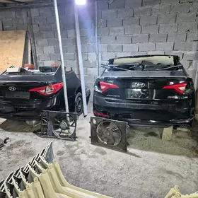 Sonata 2016-2018 morda