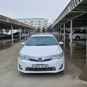 Toyota Camry 2013