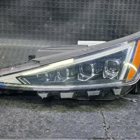 ELANTRA 19-20 CHEP 4 LUPA FARA