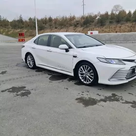 Toyota Camry 2021