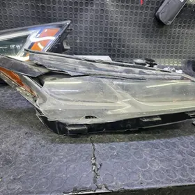 LIMITED AVALON FARA SAG TARAP