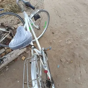 велик27&6,динамотоп