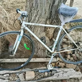 welik28&6,sportiwka,inçetigir