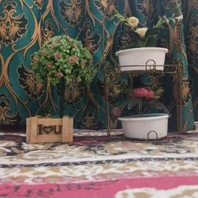 Gulgul bahasi ikisi bilen 100