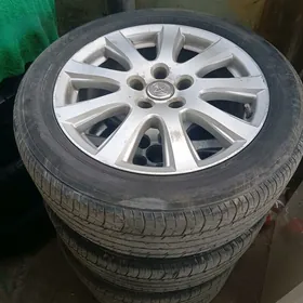 17 awrion diska pakriska