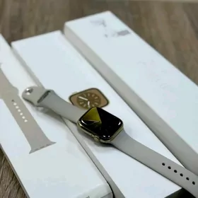 Apple Watch 8 45mm Steinles