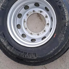 beskamyr disga 01.2025de cykan