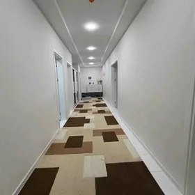 15 tapgyr 3 komnat amatly