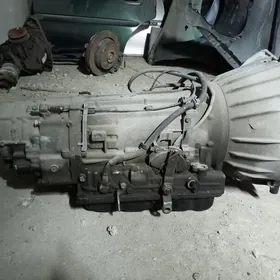 Korobka, elektro-prowod, mozgi