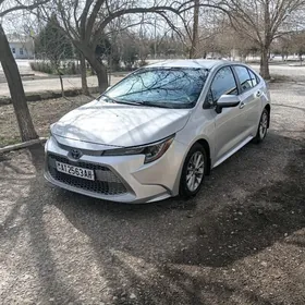 Toyota Corolla 2020