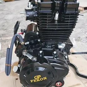 Fekon Diwgtel Gp 200lik