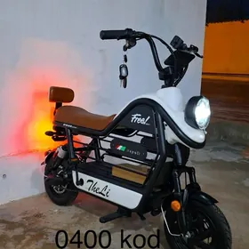 TIGIR MATOR SAMAKAT KALYASGA