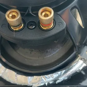 pionner kalonka orginal