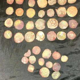 gadym teññe tenne moneta