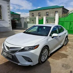 Toyota Camry 2019