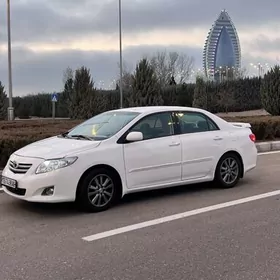 Toyota Corolla 2010