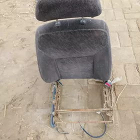 sdenya zadnivit sag guvsitl