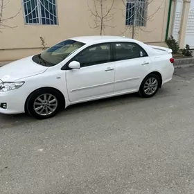 Toyota Corolla 2010