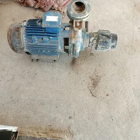 1oo lik suw nasos bar