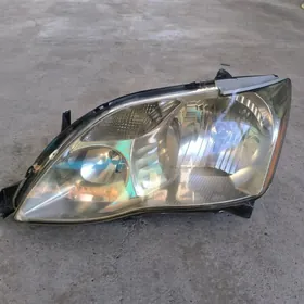 Avalon cep tarap far