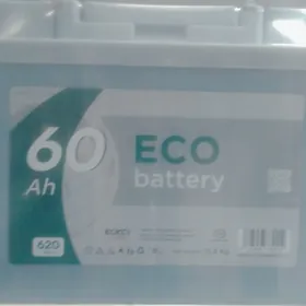 60ah ECO 600 tmt