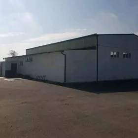 SatiukSatiyk Anew Opytnıy