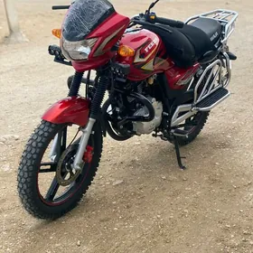 Fekon FK200-14G 2026