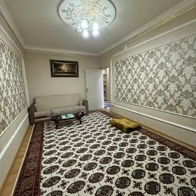 SATLYK PLAN JAÝ.AK ALTYN