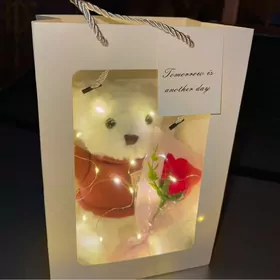 Sowgatlyk mişga🧸