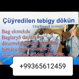 ELENEN WE YANAN DERS GUM MITI