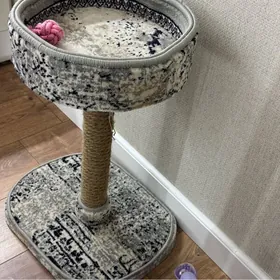 Лоток и Когтеточка