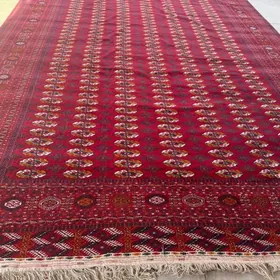 el haly arassa artel