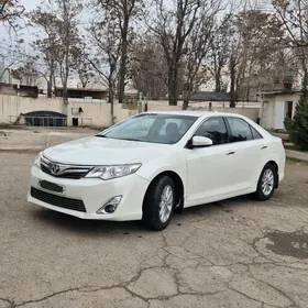 Toyota Camry 2013