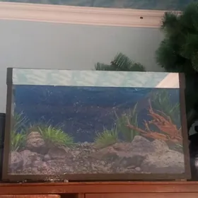 Аквариум