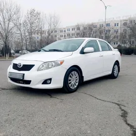 Toyota Corolla 2010