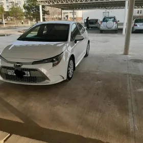 Toyota Corolla 2021