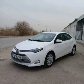 Toyota Corolla 2019