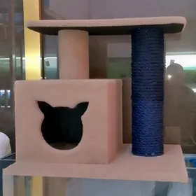 кошачий домик