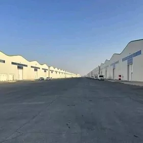 Arenda Ammar, tok cekilen 720k