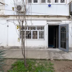 3х комнатная квартира