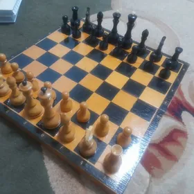 Шахматы СССР