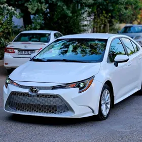 Toyota Corolla 2022