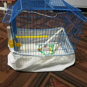 Папугай клетка