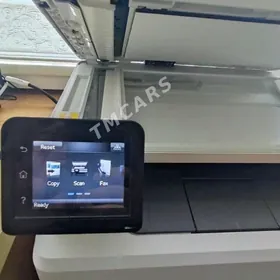 HP swidnoy printer ️