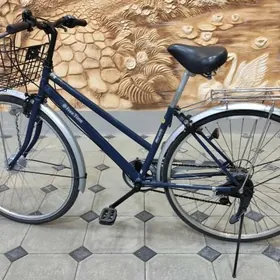 Tigir Ýapoşga welik