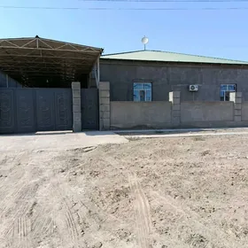 gülüstan howly jay