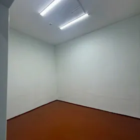 satlyk yer pomisenya