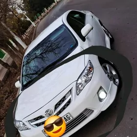 2013 haliji fara bamper