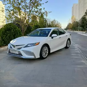Toyota Camry 2019