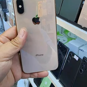 XS MAX 256